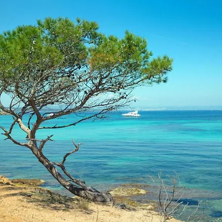 Apartamento T1 Climatisé Avec Terrasse&accès Piscine